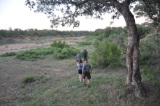 Morning walk, Kruger National Park